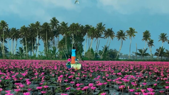 indian village beauty traditional & culture