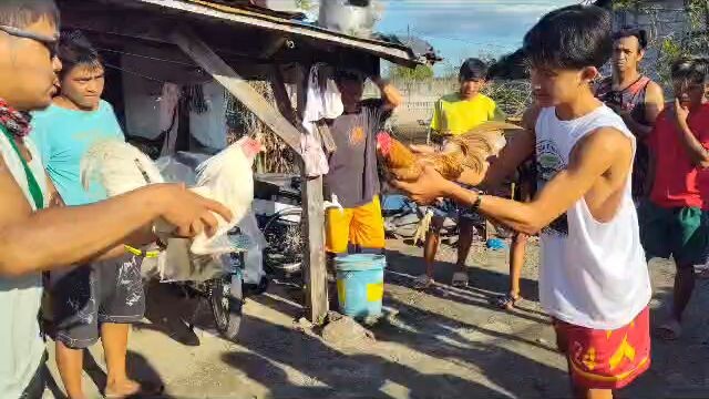 MERRY CHRISTMAS WIN SANTA CLUES 🎁