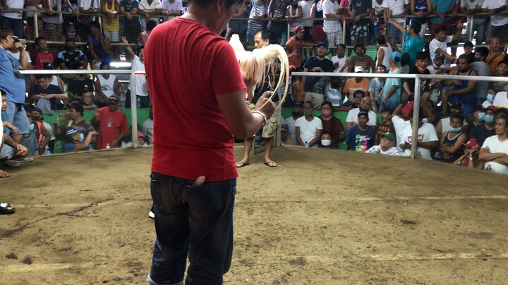 winner tayo jan unscratched. July 17, 2022 @NoveletaCockpit