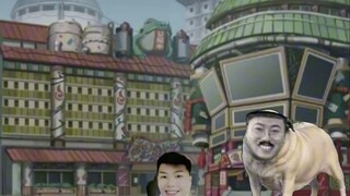 Kitten's Development Diary Episode 2