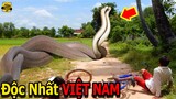 🔴Nọc Độc "G.iết C.hết 1000 Người" Và Những Loài Rắn Tử Thần Nguy Hiểm Nhất Việt Nam