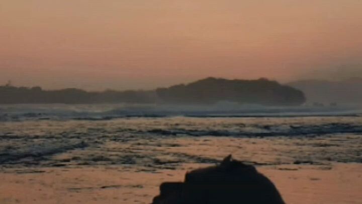 とげは私が愛する🌹の一部なのに、どうしてとげを嫌えることが出来るでしょうか