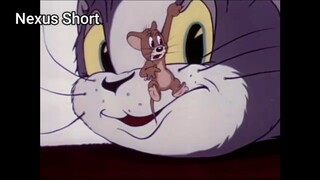 Tom & Jerry (Ep 1.1) Rượt đuổi #TomandJerry