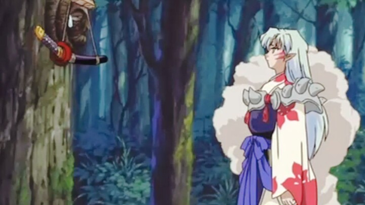 Sesshomaru: Nếu có thể, hãy cho tôi một chiếc răng tự nhiên trước mặt tôi!