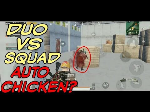 DUO VS SQUAD DI SANHOK AUTO CHCIKEN?