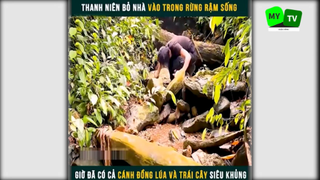 Cuộc sống hoang dã trong rừng p1