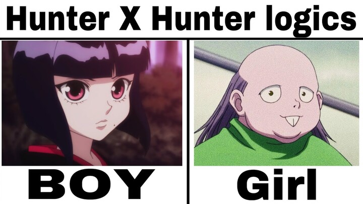 HUNTER X HUNTER MEMES 5