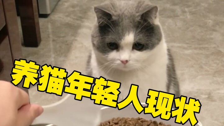 Kittens should learn to remember the one who dug the well when they drink the water.