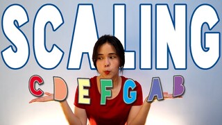 Changing your kalimba key: Sharps and Flats, how to make it work?