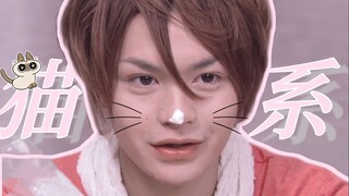 来打男性群像 | “ 那些我认为像猫的骑士美人 ”