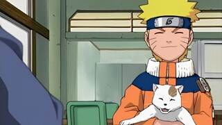 Waduhhh Naruto Lagi Sama Kucing Tuh 😺 Lucuk Sekali | FanArt