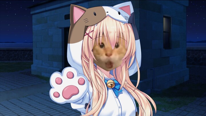 Proof that the round-headed maodi is Tsumugi Wenders