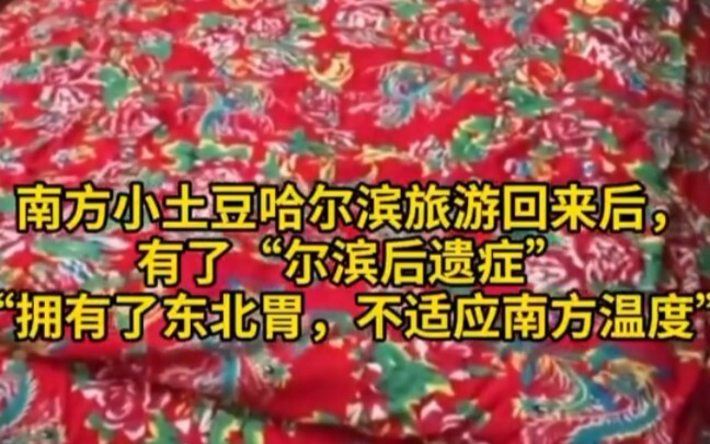 The little southern potato already has Harbin aftereffects.