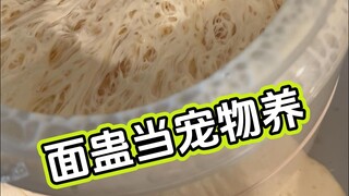 面蛊当宠物来养，没有比这更省心的宠物了