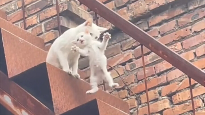 แม่ ฉันก็ไม่ค่อยอยากลงไปเท่าไรนัก