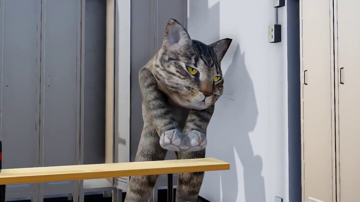 [Ruang Ganti] Saya juga kucing Kanton, mungkin kita sesama penduduk desa~