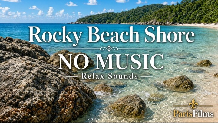 Rocky Beach Shore | NO MUSIC | Relax Sounds for Sleep & Study