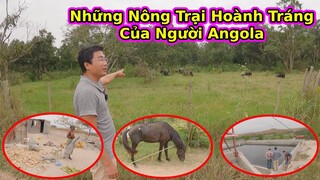 Người Châu Phi làm trang trại như thế nào?||2Q Vlogs cuộc sống châu phi