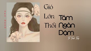 Gió Lớn Thổi Tám Ngàn Dặm - Tô Tinh Tiệp