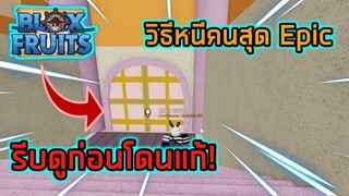 Roblox : Blox Fruits รีบดูก่อนโดนแก้ วิธีหนีคนสุด Epic ใน UPDATE 14!!