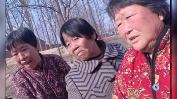 The village entrance information station is full of fun; Wang Lichu has settled accounts with everyo