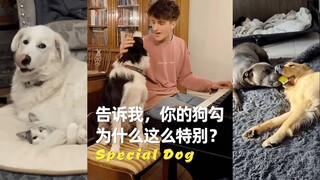 告诉我，为什么你家狗勾这么特别 🥰