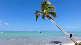 Invejosos vão dizer que é montagem   Maceió Alagoas Realizamos passeios privativ