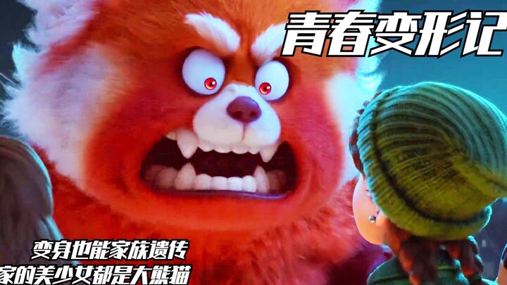 ภาพวาด “มังงะสีเหลือง” ใต้เตียงถูกเปิดเผย เด็กสาวเรียบร้อยโกรธจนกลายร่างเป็นแพนด้าตัวน้อย ภาพยนตร์แฟ