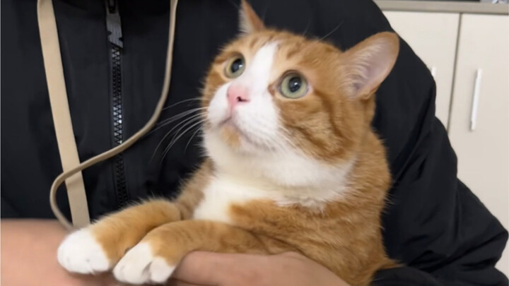 When Your Flirty Crush Visits Your Place for the First Time