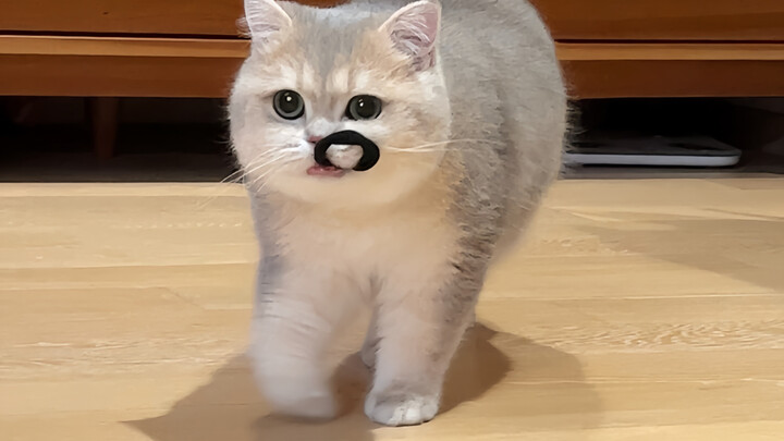 Cute, right? I traded my brain for it!
