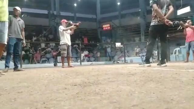 4 stag derby last fight vs reelmans (Cauayan City Isabela)