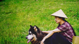 What happens when you pick wild fruits with a dog in the mountain?