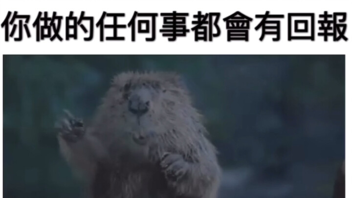 Happy Friday, friends!