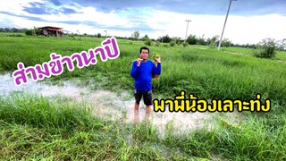 บรรยากาศทุ่งนายามเย็นหลังฝนตกใหม่ๆฟังเสียงกบเสียงเขียด