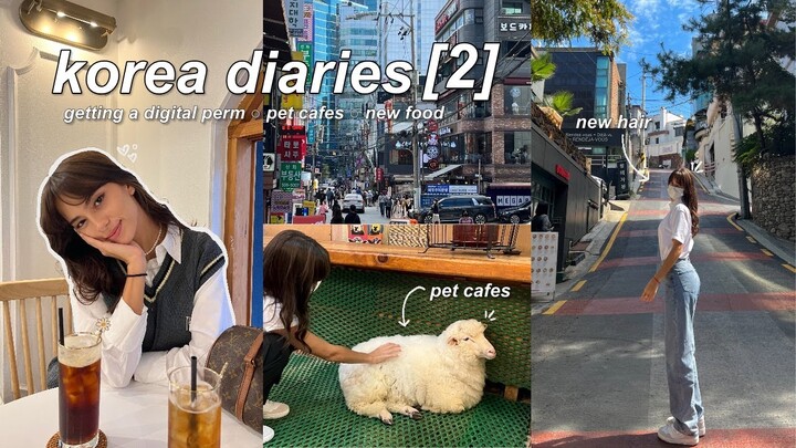 KOREA VLOG | hair transformation, pet cafes, trying korean food, + more ♡