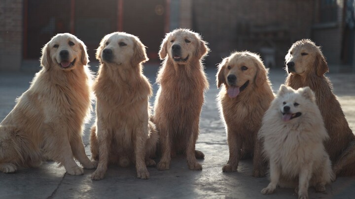 We really look different.