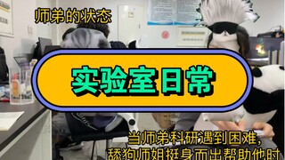 猫meme演我精神状态……
