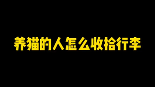 养猫的人收拾行李就要比别人多几步