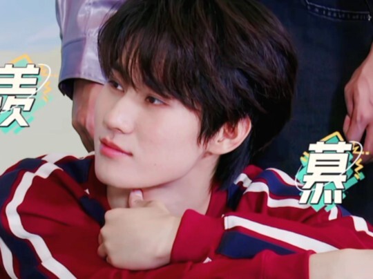 Adorable and lovely Ragdoll cat "Zhang Zhenyuan" that everyone loves!