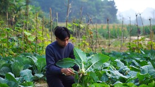 Làm Kim Chi Su Hào Món Ngon Đông Bắc | Pickled Kohlrabi