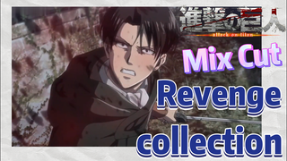[Attack on Titan]  Mix Cut | Revenge collection