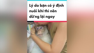 Em bị liệt mà, về rừng là mấy bạn khác uýnh em bụp bụp mặt mình em mẹ thấy thẹo khum à, ước gì hổng có ai săn bắt khỉ thì em đâu có bị như vậy joydogmom yeuchomeo doglover dogmom chomeodethuong clipha