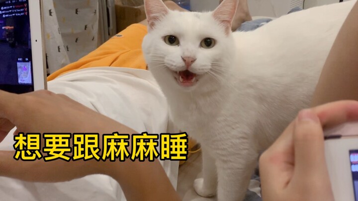 Membuat keributan: Aku lah tuan rumah lelaki di keluarga ini, Papa hanyalah pihak ketiga!