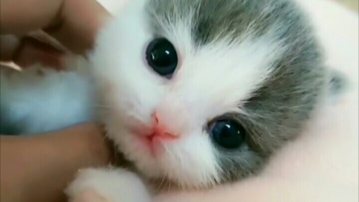 จัดเต็มนม หนุ่มๆต้องดู