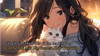 Chuyển Sinh Thành Mèo Thanh Niên Bị Con Sen Bí Mật Phát Trực Tiếp Toàn Mạng Lúc Ở Nhà Một Mình