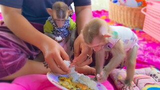 Tiny adorable Toto and Yaya enjoy eating fried eggplant long with rice