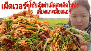 พาไปกินส้มตำปลาร้าในทุ่งเลี้ยงแกะเมืองนอก(สั่งน้ำปลาร้าได้ที่ไอดี0636501929)