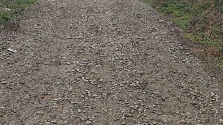 Highway Project Rural Cement Concrete Pavement Audit #HighwayCostEstimate#CementConcrete#Pavement#Au