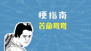 苦命鸳鸯是什么梗【梗指南】