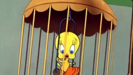 Tweety through the years